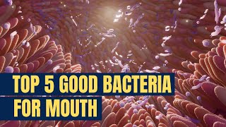 Top 5 Probiotic Good Bacteria For Mouth | Probiotiv Naturals