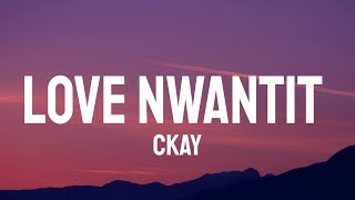 CKay - Love Nwantiti (Lyrics)