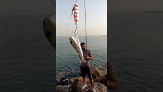 கோள மீன் #puffer fish #mistakes #catch #release #humanity #trending #tamil #viral #subscribe 🎣🐟💪✅