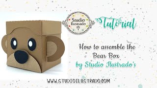 How to assemble the Bear Box by Studio Ilustrado