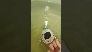 JBL clip 4 AN маленький флекс) water bass test