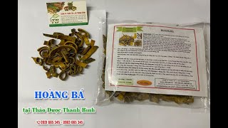 Hoàng Bá - Công dụng của hoàng bá