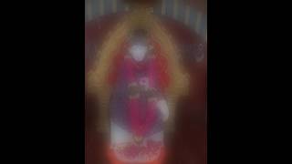 Sai baba darshan (watch for 10 seconds) #saibaba