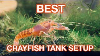 CRAYFISH TANK SETUP (Tour)