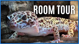 REPTILE ROOM TOUR Summer 2021