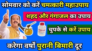 सोमवार को करें चमत्कारी उपाय, शहद और गंगाजल का उपाय, करेगा वर्षों पुरानी बिमारी दूर #pradeepmishra