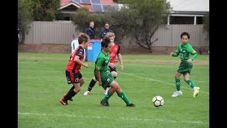 No. 14 - Kamil 2019 (U13) - Bentleigh Greens