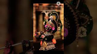 Krishna 🙏🏻 #youtube #youtubeshorts #viralvideo #shorts video