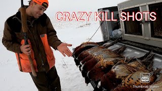 SOUTH DAKOTA PHEASANT SMACK DOWN!