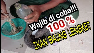 UMPAN MANCING IKAN BAUNG DI SUNGAI WAJIB DI COBA!!! ( LANGSUNG TES BERHASIL)