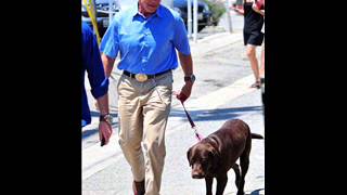 Arnold Schwarzenegger calls to return a dog