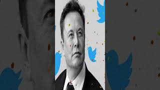 Is Elon Musk stepping down from the twitter!