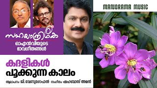 Kadalikal Pookkunna | G Venugopal | O N V Kurup | Shahabaz Aman | ഓഎൻവി യുടെ ഭാവഗീതങ്ങൾ