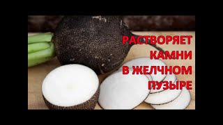 Сок ЧЁРНОЙ РЕДЬКИ растворяет КАМНИ в ЖЕЛЧНОМ пузыре и ПЕЧЕНИ / Фролов Ю.А.