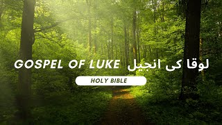 Luca-Ki-Injeel ch 7 لوقا کی انجیل Gospel of Luke - Bible urdu main URDU Bible Hindi Bible