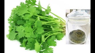 Preserve Fresh Coriander Leaves As Powder | Use The Dry Cilantro Powder To Get Fresh Smell of Leaves