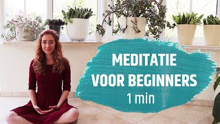 KORTE MEDITATIE | 1 minuut