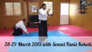 28-29 March 2015 seminar with Sensei Fanis Kokolis