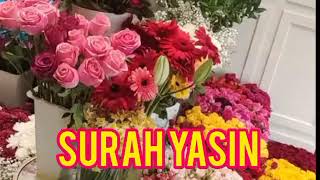 Surah yaseen Sharif (Yasin) Live 💚💛 | Live Sura Ya-Seen Full  | سُورۃ یس