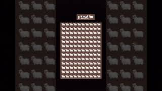 Find odd sheep#shorts#viral