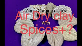 Air Dry Clay with SPICES??? Yes, I know it's a crazy experiment! Join me in my fun experiment!