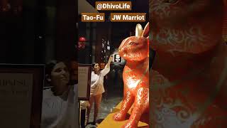 We are at Tao-Fu hotel in JW Marriot | Giant rabbit statue on the entry is simply beautiful #shorts