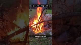 #howto #burn #treestumpremoval #treestump