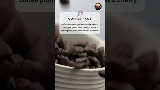 Coffee Beans Aren't Technically Beans #shorts #coffeebeans