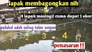 Lapak Membagongkan Nih Lapak 13,11,9,7