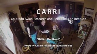 Behind the Scenes - CARRI on PBS