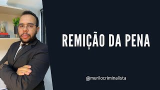 Remição da Pena - LEP Artigo 126 a 130. Pelo trabalho, estudo, leitura e ficta