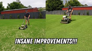 From a patchy 60mm+ to lush 12mm // 8 days of mowing after a HUGE lawn renovation