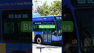 Which bus company is better part 2