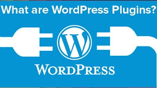 12 Popular WordPress Plugins for Online Marketers