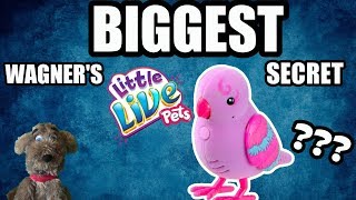 LITTLE LIVE PETS SECRET SONGBIRDS - Wagner's BIGGEST Secret ?? | SamTheHamTV