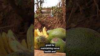 Avocado Benefits: Nature's Superfood for Your Health #shorts