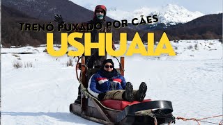 Husky Park Ushuaia! Passeio de trenó puxado por Husky Siberianos.