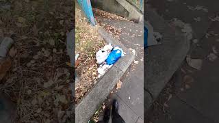 Tameside Ashton Under Lyne Fly Tipping TMBC #tameside #england #angelarayner