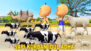 takbiran idul fitri 2024 upin ipin membawa sapi kurban idul adha dan unta, kambing domba, zebra