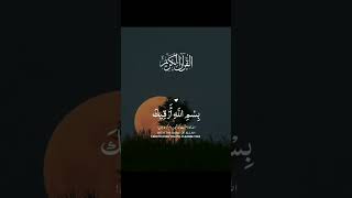 deen ki batyn#youtubeshorts #islamicbooks #ytshorts (1)