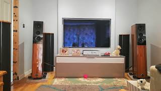 Leema Acoustics Tucana 2 Anniversary