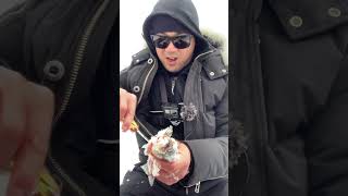 Clean a fish in under 60 seconds #shorts #spyderco #trout #icefishing