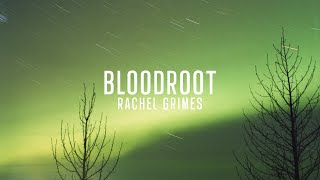 Rachel Grimes - Bloodroot