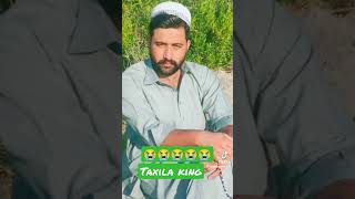 Hamza Ali urf Ranga sheed king of taxila Hamza ranga