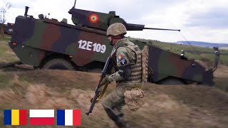 Newly Formed French led NATO Efp Battlegroup train in Cincu, Romania