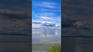 Denali range of mountains from point Woronzof park in Anchorage, Alaska! #alaska #travelvlog #nature