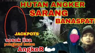 🔴LIVE MISTERI HUTAN ANGKER SARANG BANASPATI