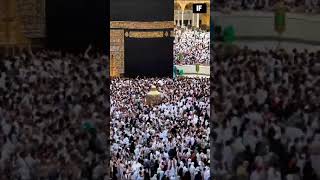 Sea of people mashallah #hajj2023 #islam #islamicstatus #viral #shorts #arafah #makkah #kaaba #allah