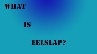 What Is Eelslap ? Dont Loose Your Temper |