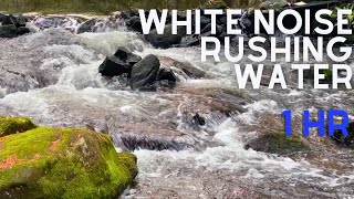 Water sounds River running through the Forest White noise for Sleep Meditation and Study 1HR